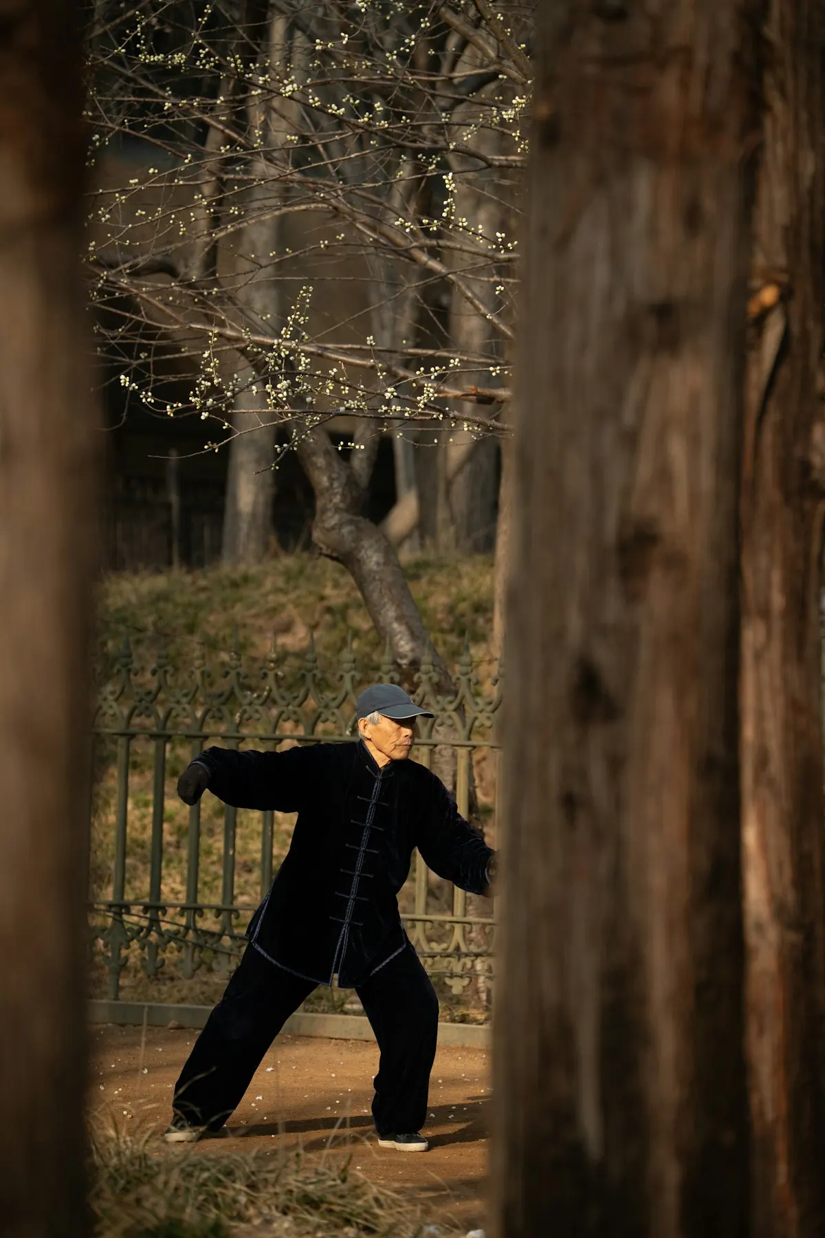 Adulto mayor practicando tai chi al aire libre para apoyar el envejecimiento activo y saludable
